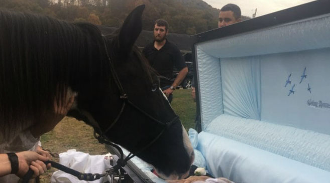 A Horse Pays Homage To His Owner Who Taught Him The Power Of Love At The Funeral.