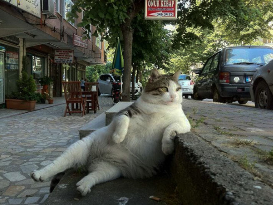 People pay homage to an unforgettable stray cat who spread positivity by creating a statue in her owner