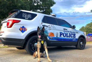 Bane, a loyal K9 officer with the Fort Walton Beach Police Department in Florida, has spent the past five years serving his community. From fighting crime to community outreach, this hardworking dog has left a lasting impact on the department and the city. “[He’s] one of our goodest boys,” a police spokesperson shared with The Dodo. Last week, Bane officially retired with a heartfelt ceremony. Officer Trujillo, Bane’s handler and partner, celebrated the occasion with a small gathering and some delicious food.