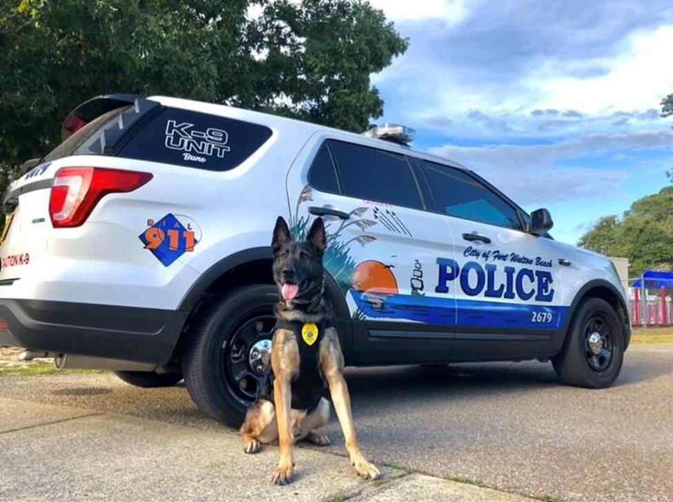 Bane, a loyal K9 officer with the Fort Walton Beach Police Department in Florida, has spent the past five years serving his community. From fighting crime to community outreach, this hardworking dog has left a lasting impact on the department and the city. “[He’s] one of our goodest boys,” a police spokesperson shared with The Dodo. Last week, Bane officially retired with a heartfelt ceremony. Officer Trujillo, Bane’s handler and partner, celebrated the occasion with a small gathering and some delicious food.